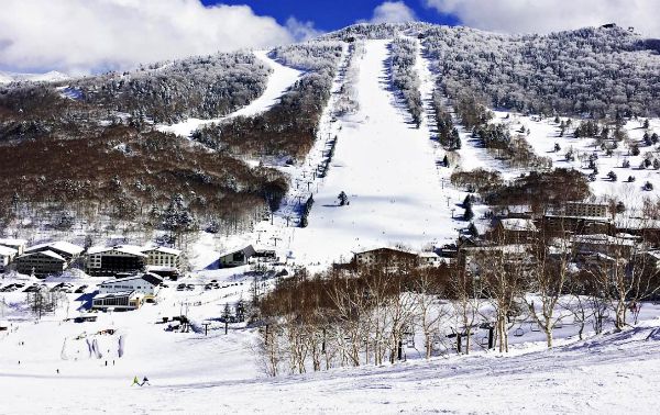 Best Things To Do in Nagano | Visit TheAlps’ Land｜Gyl Magazine